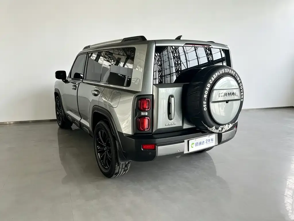 Haval Menglong New Energy 2024 из CN, фото 4