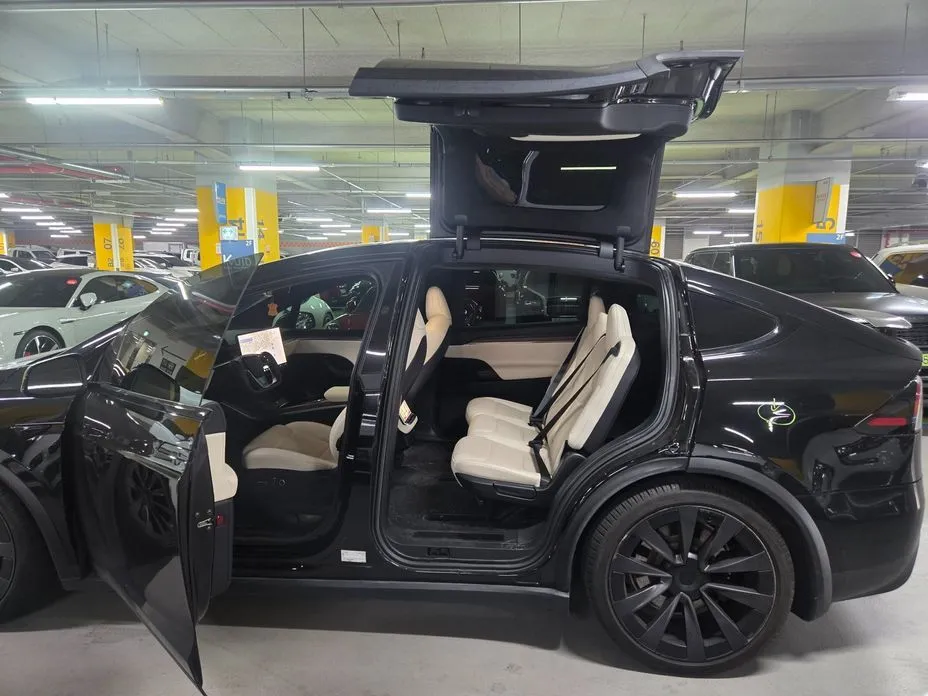 Tesla Model X — фото 8
