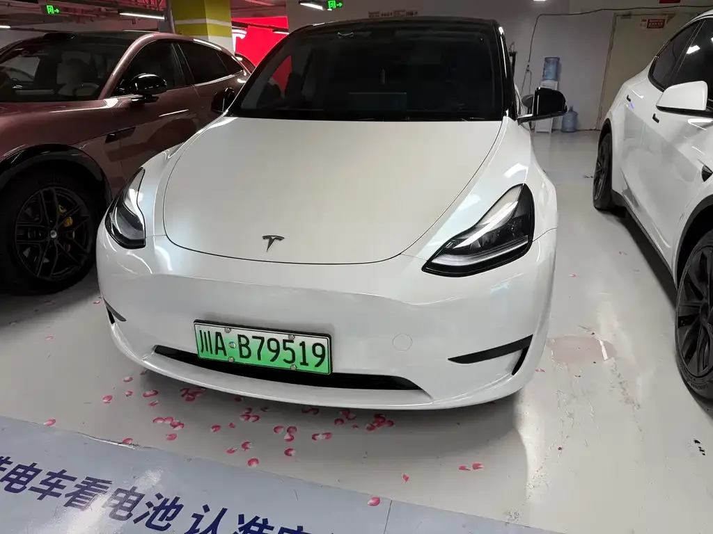 Tesla Model Y — фото 1