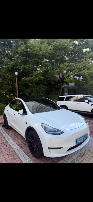 Tesla Model Y — фото 1
