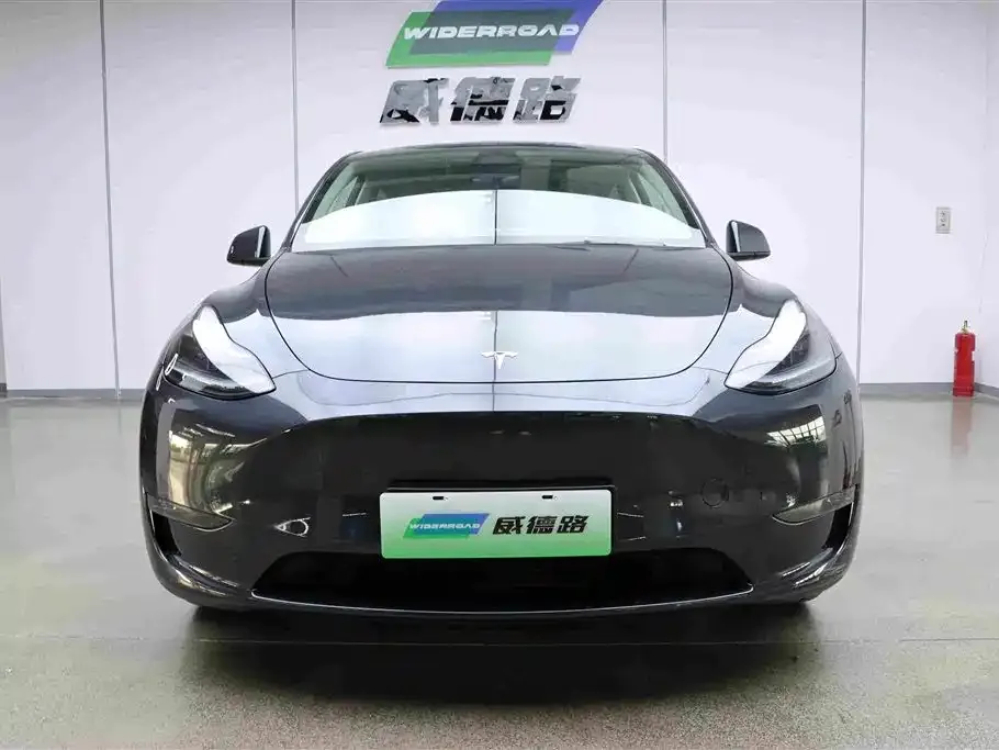 Tesla Model Y — фото 10