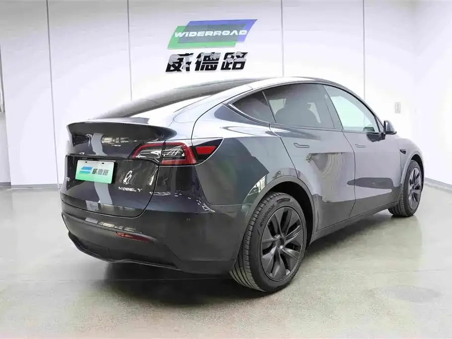 Tesla Model Y — фото 8