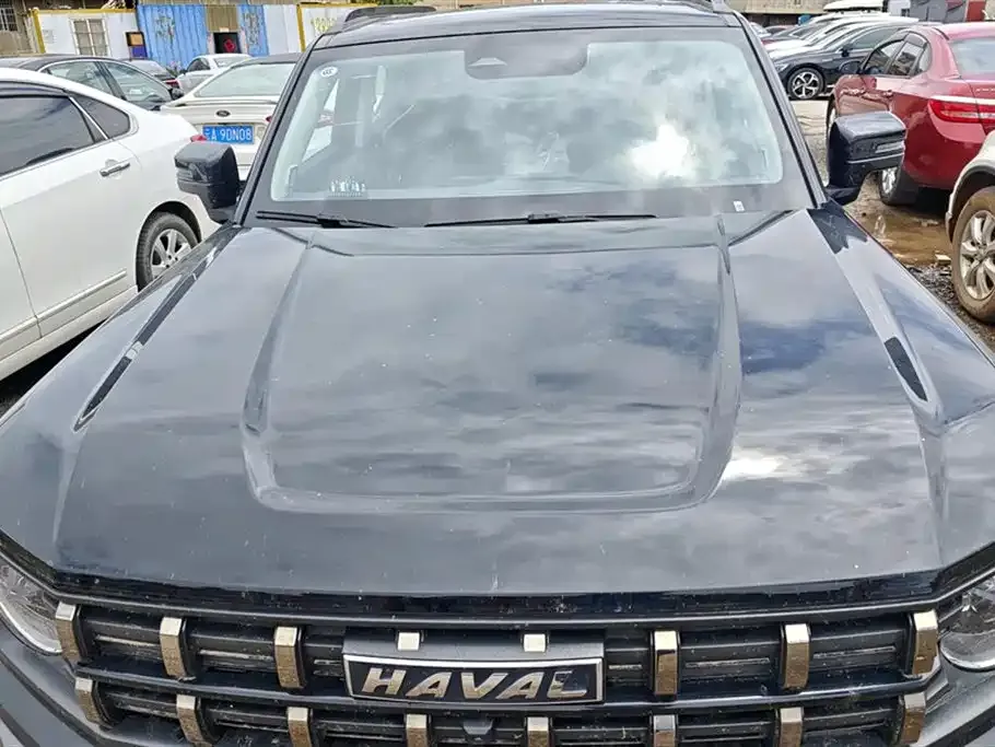 Haval Cool Dog 2023 из CN, фото 5