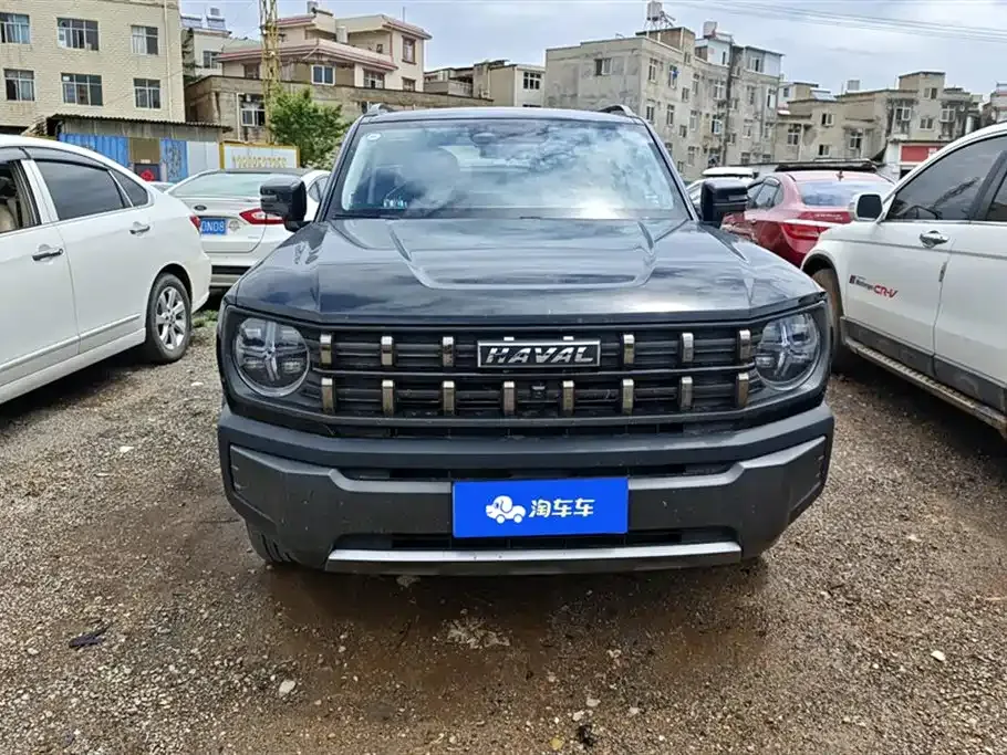Haval Cool Dog 2023 из CN, фото 9