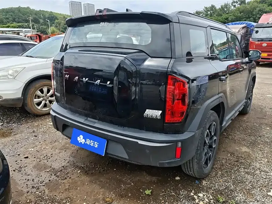 Haval Cool Dog 2023 из CN, фото 8