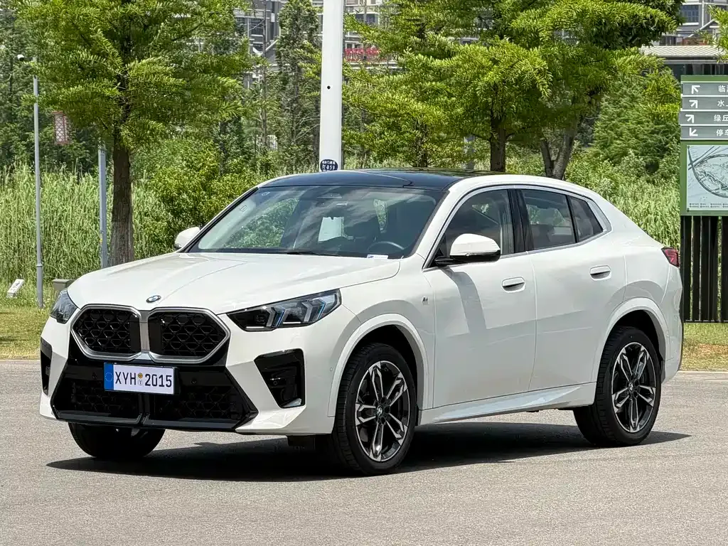 BMW X2 (Import) — фото 1