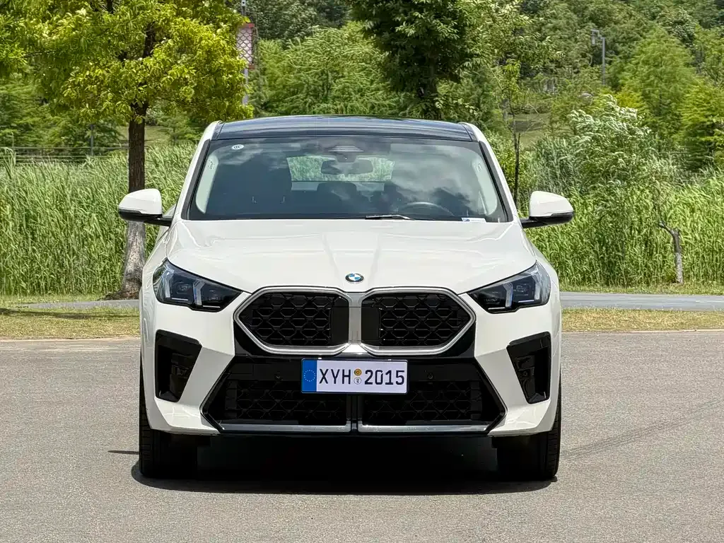 BMW X2 (Import) — фото 7