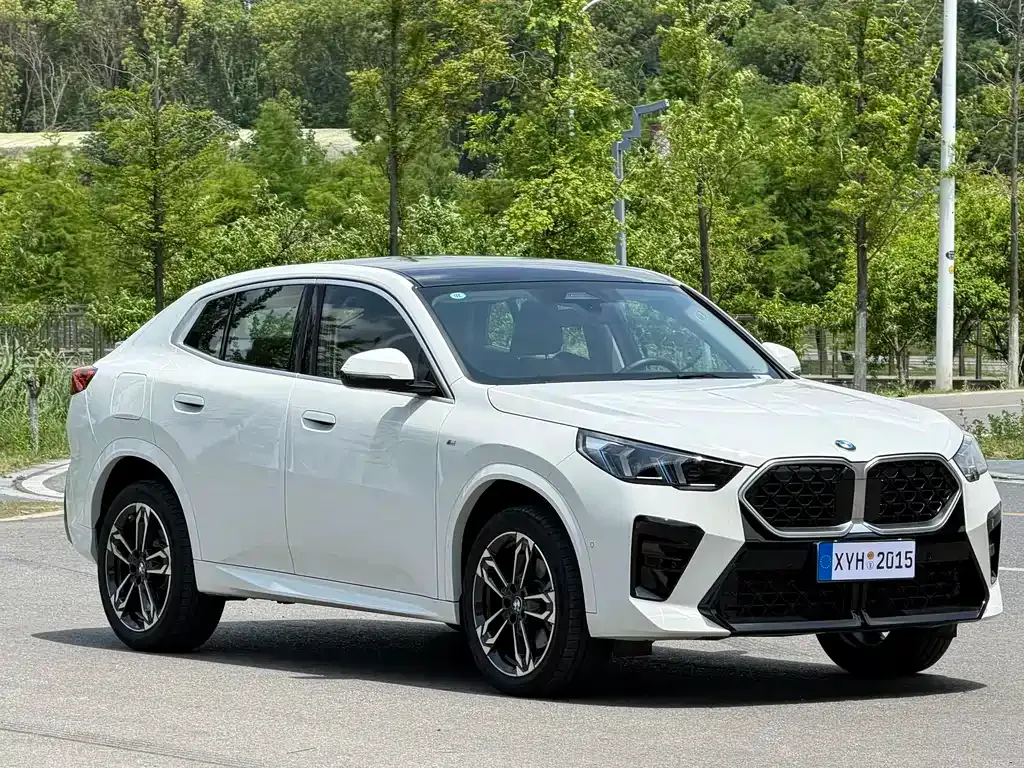 BMW X2 (Import) — фото 5