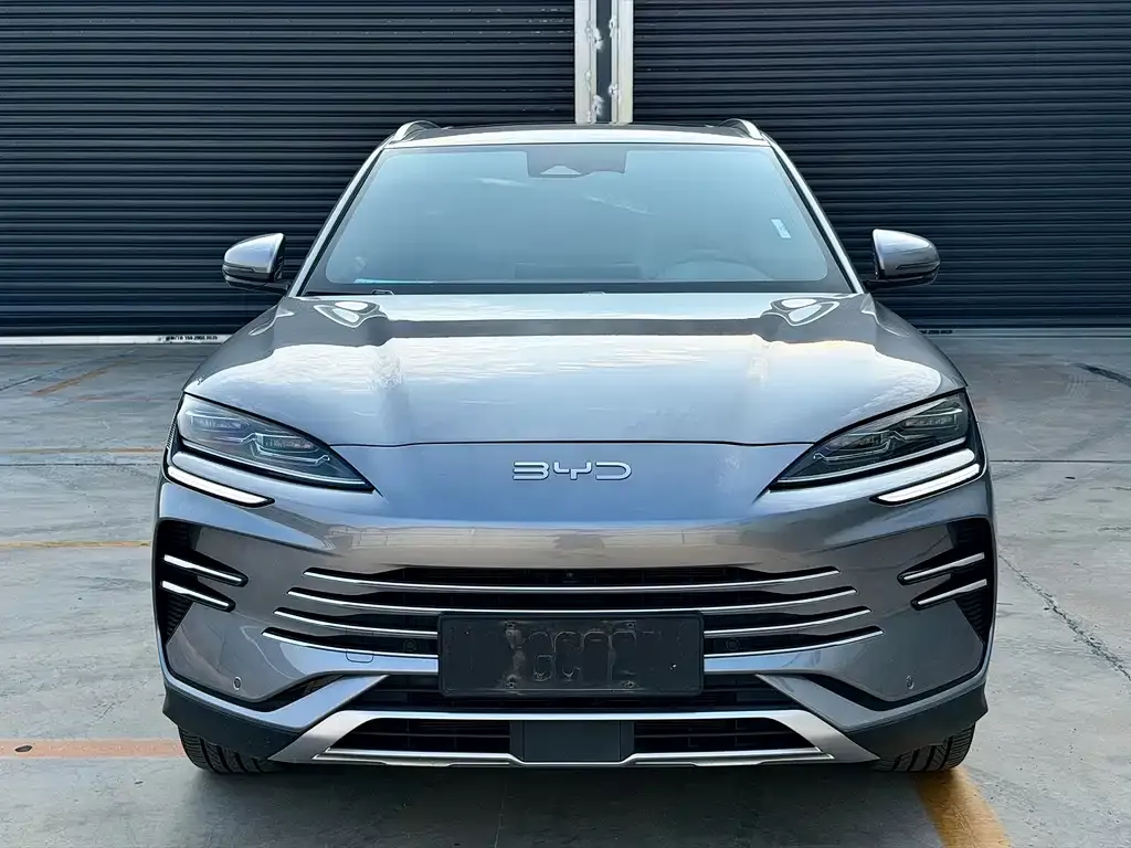 BYD PLUS New Energy — фото 4