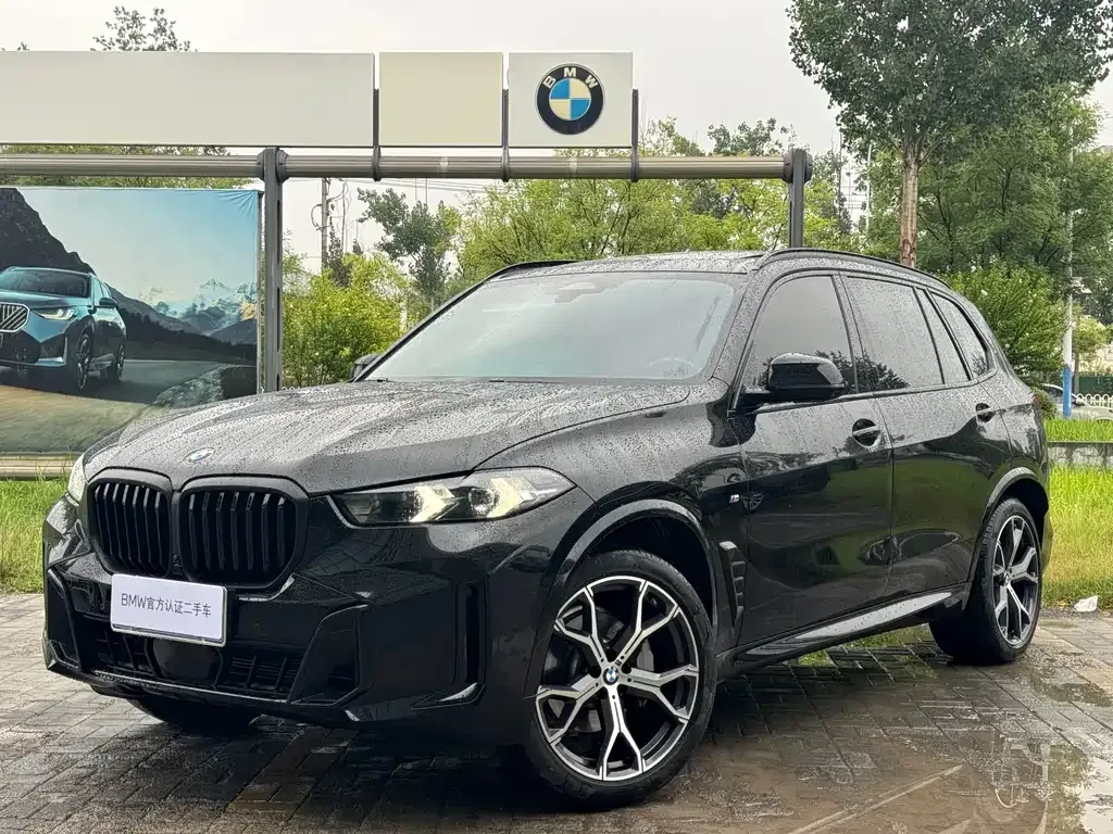 BMW X5 — фото 10