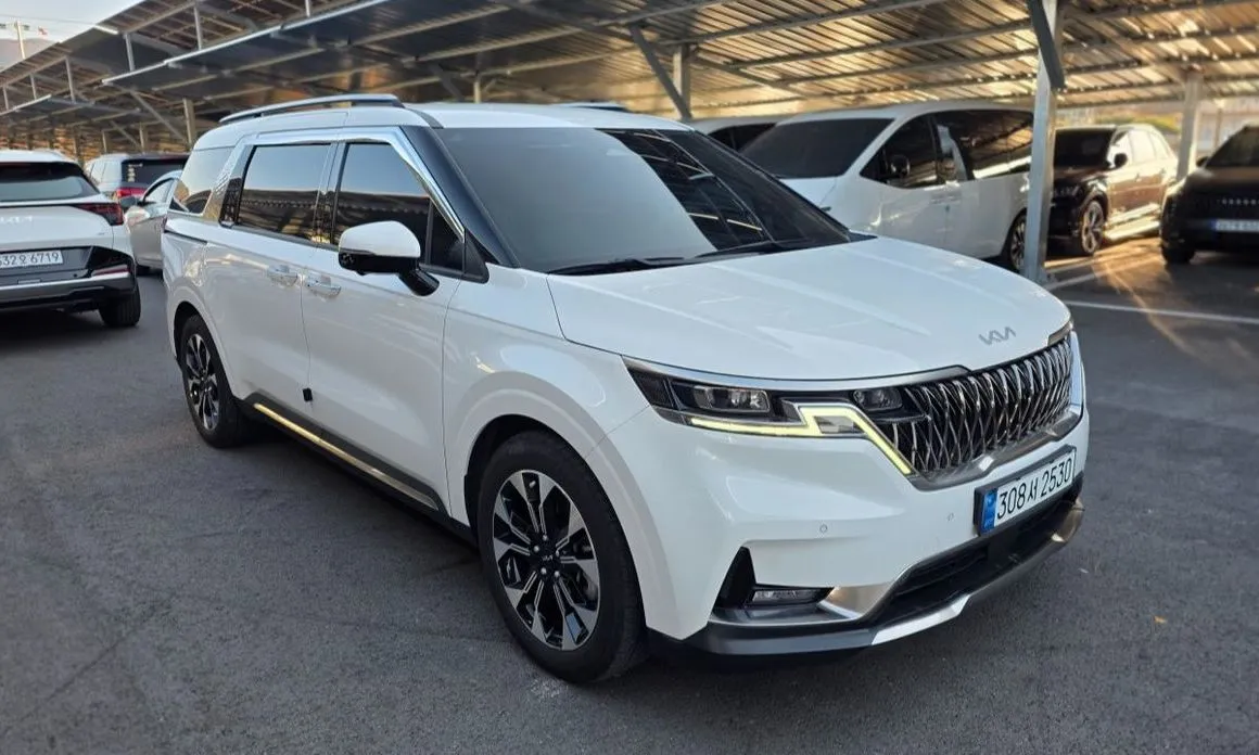 Kia Carnival — фото 10