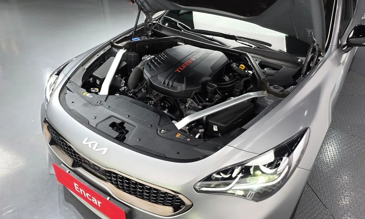 Kia Stinger — фото 10