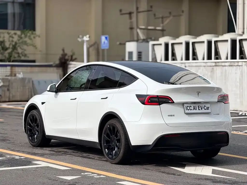 Tesla Model Y — фото 10