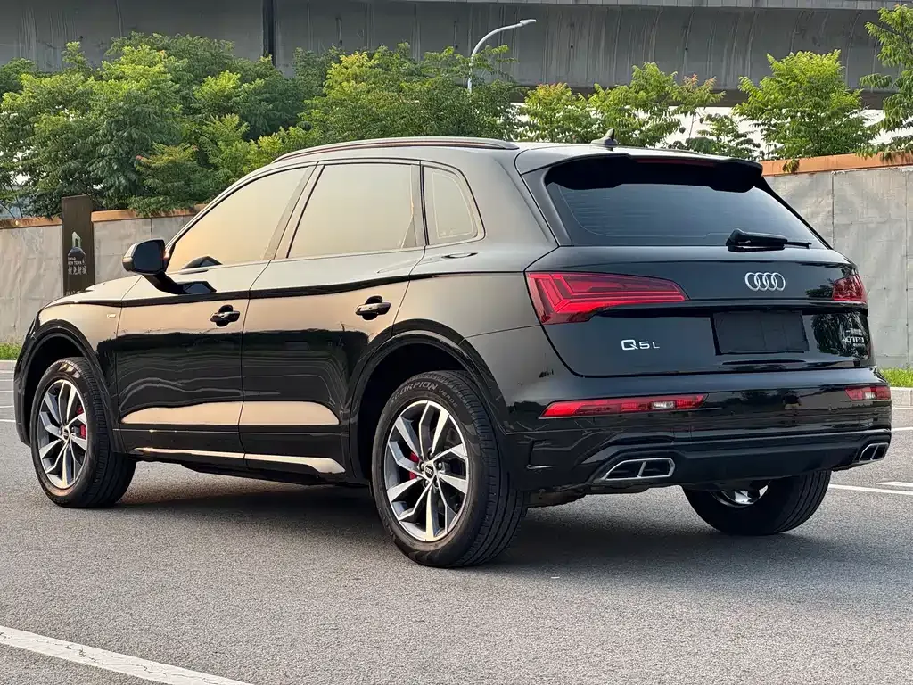 Audi Q5L — фото 6