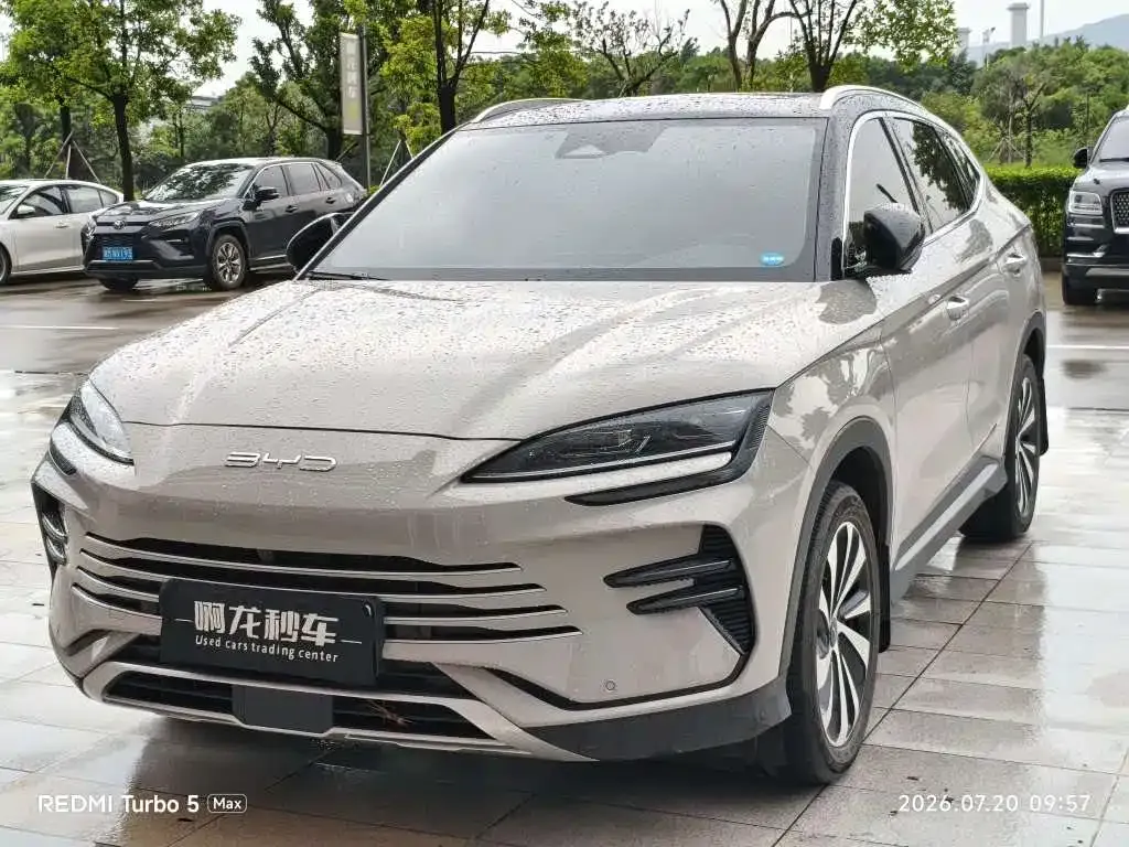 BYD PLUS New Energy — фото 1