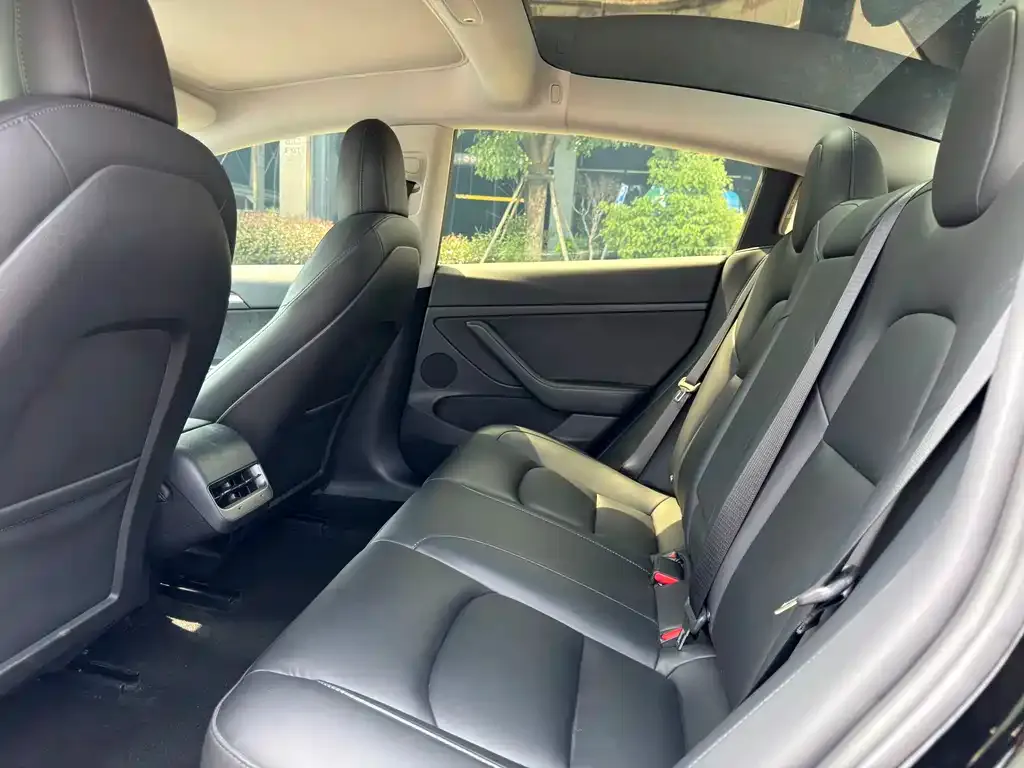 Tesla Model 3 2023 из CN, фото 9