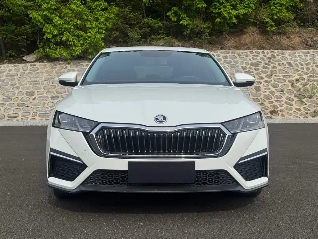 Skoda Octavia — фото 5