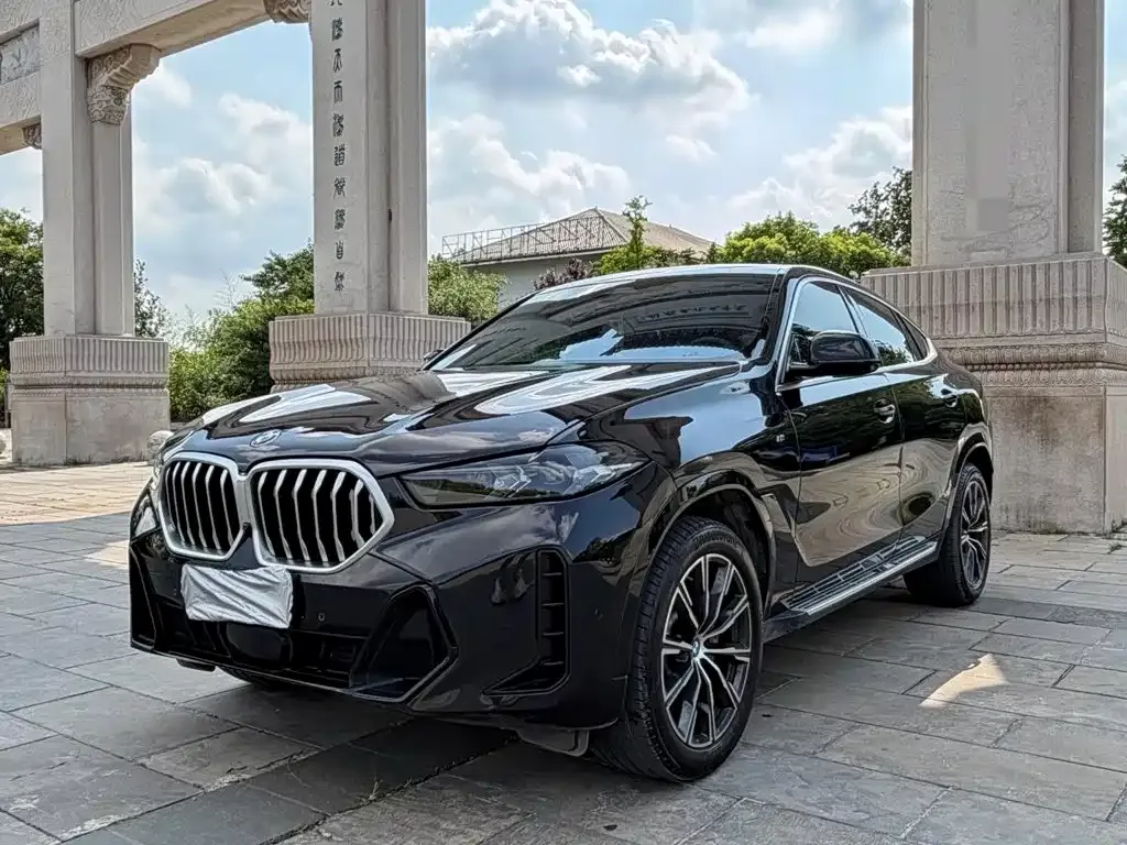 BMW X6 — фото 6