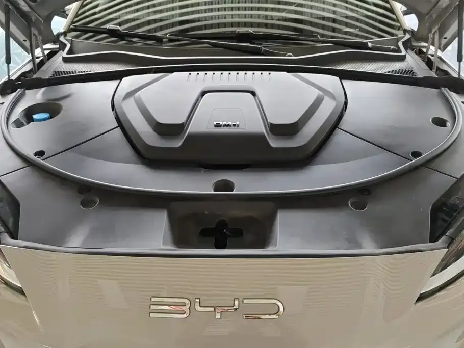 BYD PLUS New Energy — фото 2
