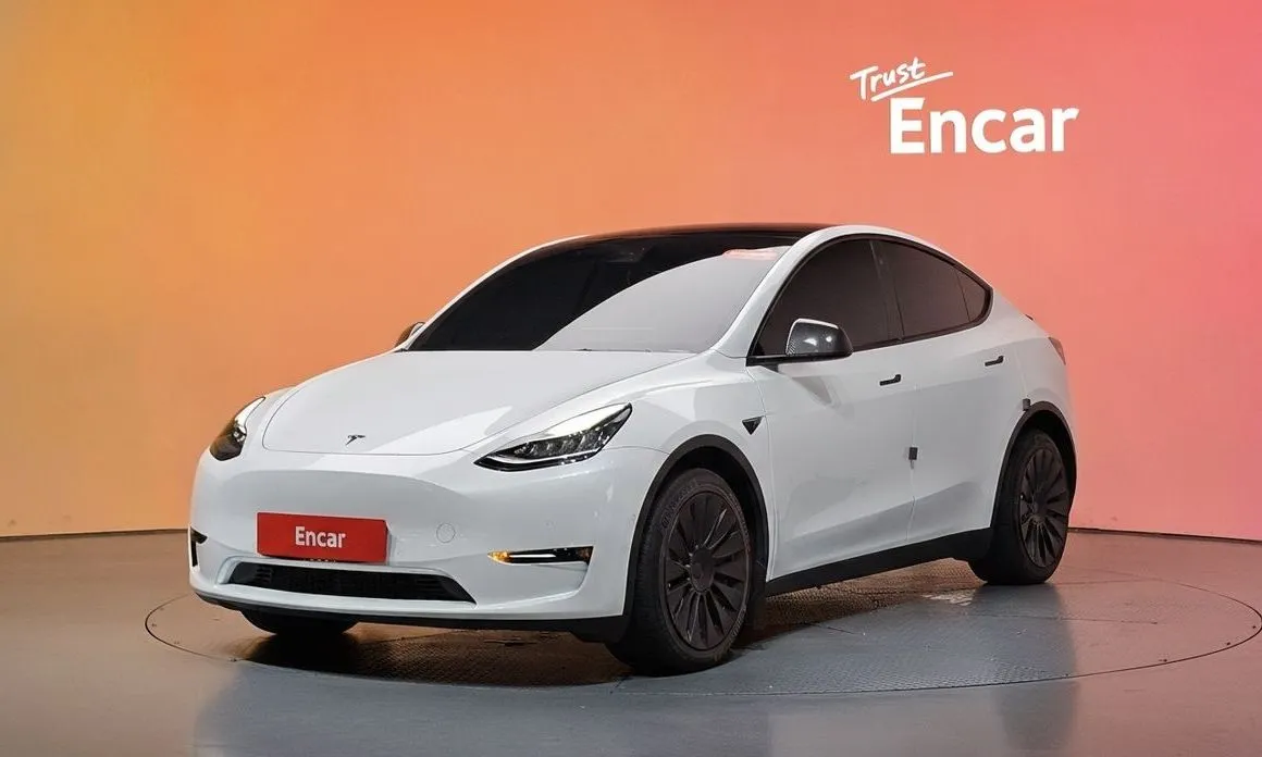Tesla Model Y — фото 1