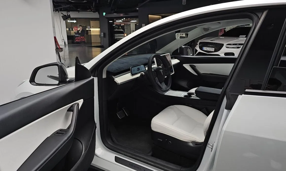 Tesla Model Y — фото 9