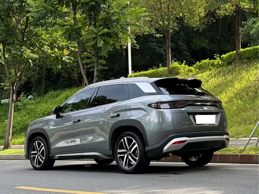 BYD L DM-i 2024 из CN, фото 10