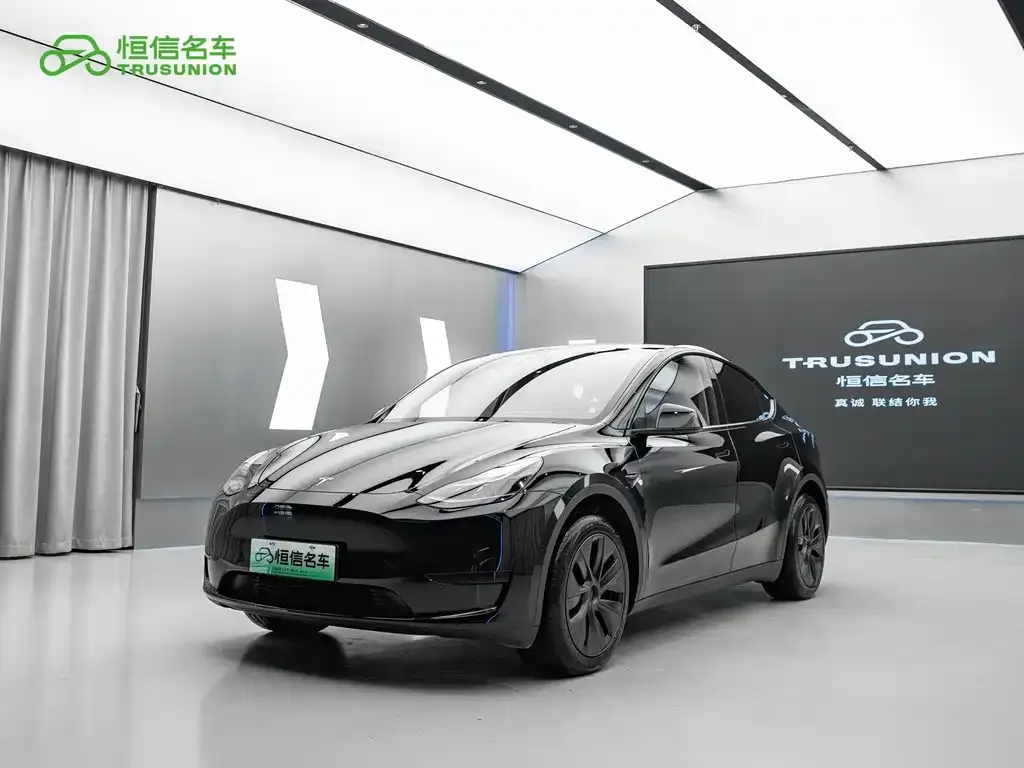 Tesla Model Y — фото 1