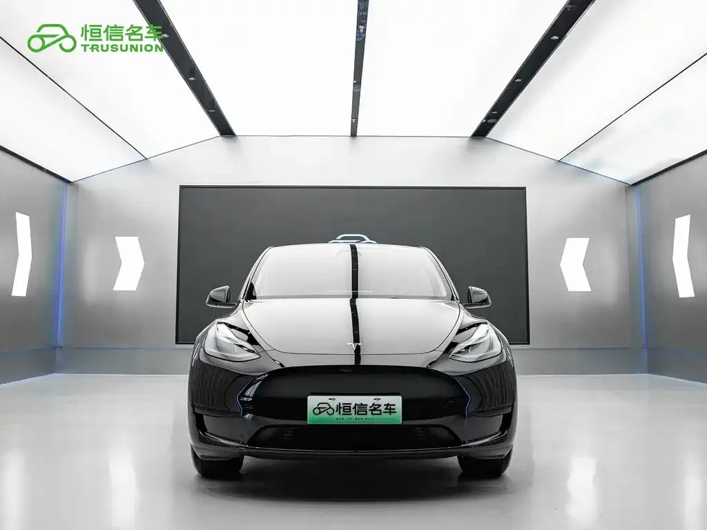 Tesla Model Y — фото 8