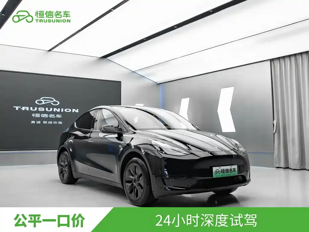 Tesla Model Y — фото 9