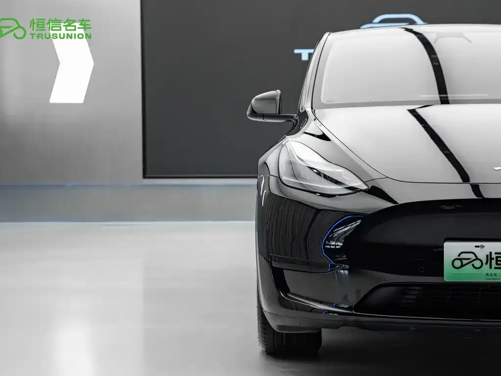 Tesla Model Y — фото 2