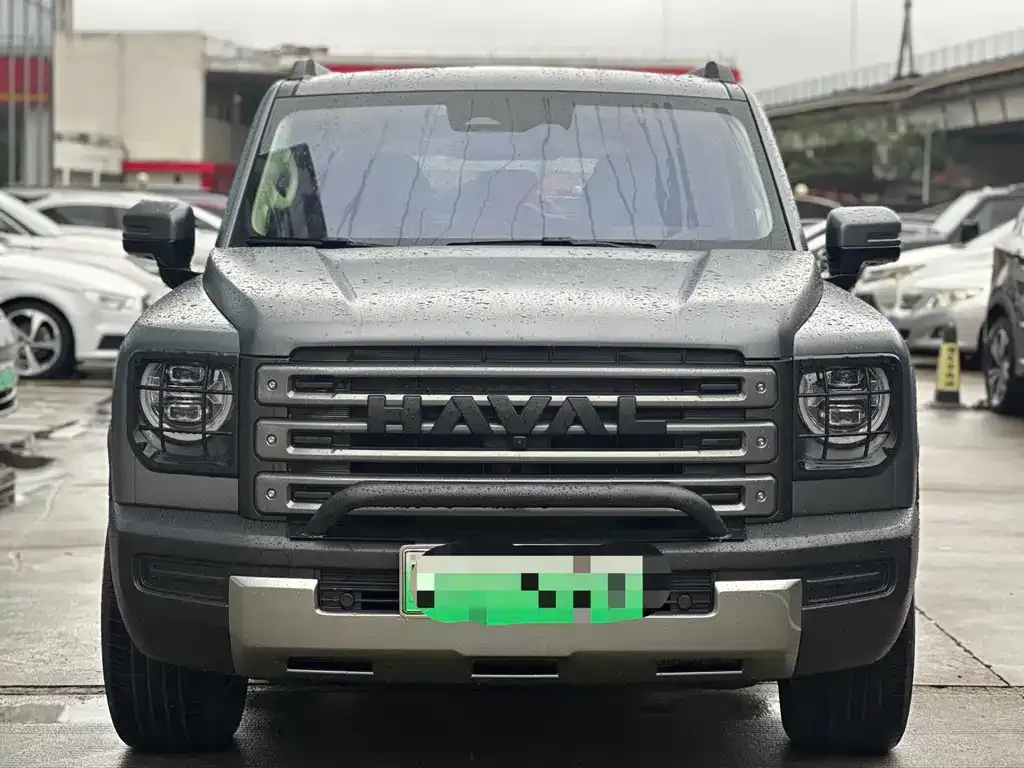 Haval Menglong New Energy 2024 из CN, фото 5