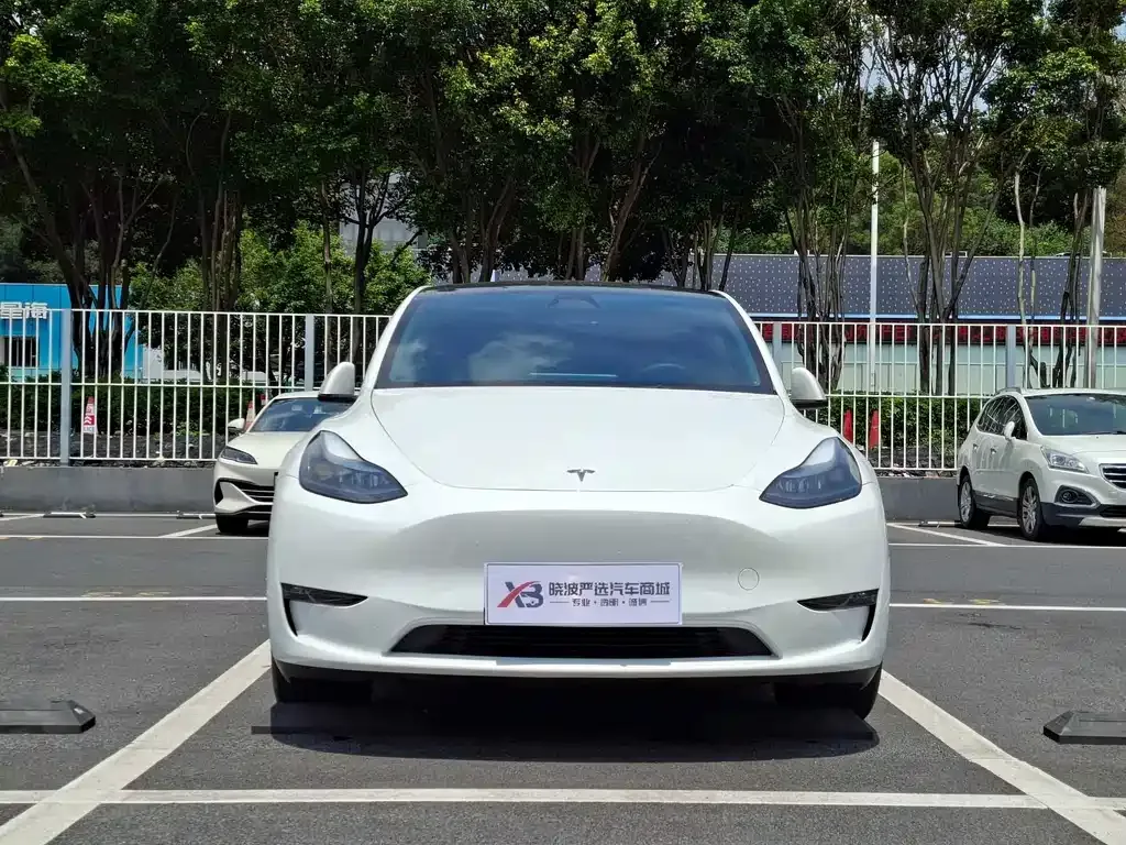 Tesla Model Y — фото 4
