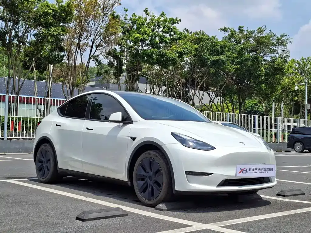 Tesla Model Y — фото 6