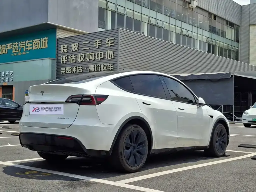 Tesla Model Y — фото 10