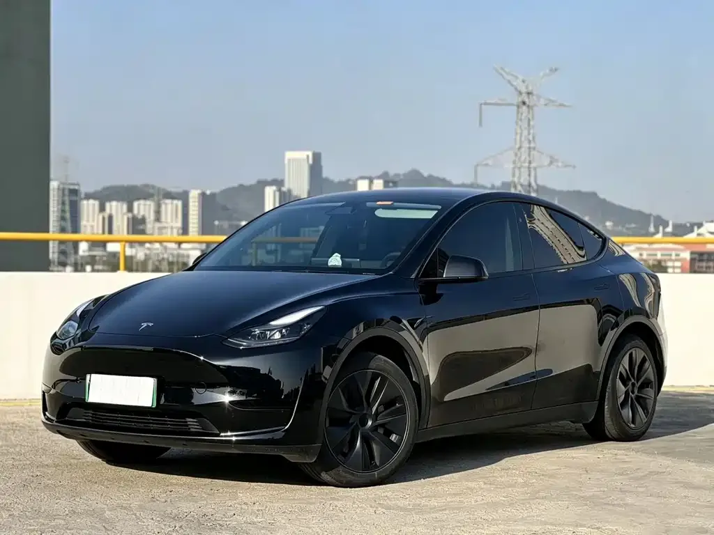 Tesla Model Y — фото 1