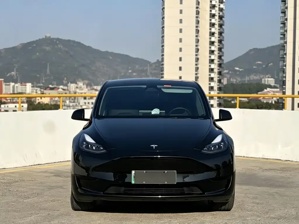 Tesla Model Y — фото 9