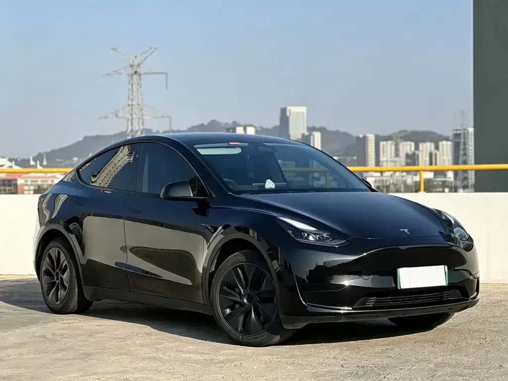 Tesla Model Y — фото 4