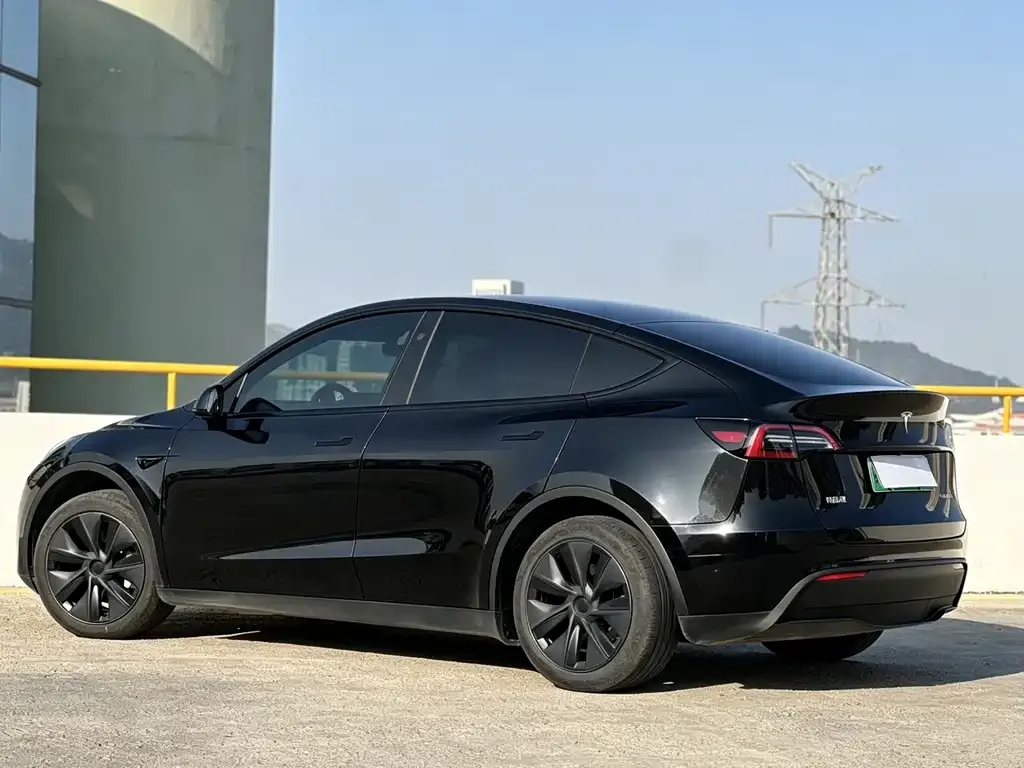 Tesla Model Y — фото 8