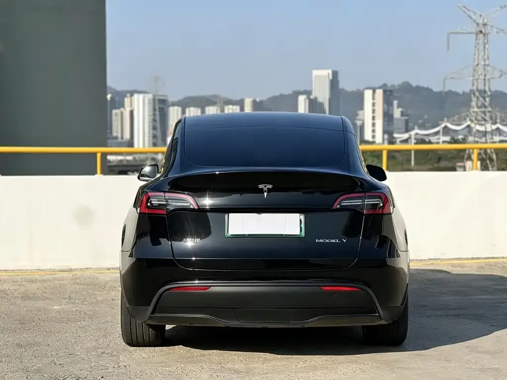 Tesla Model Y — фото 7