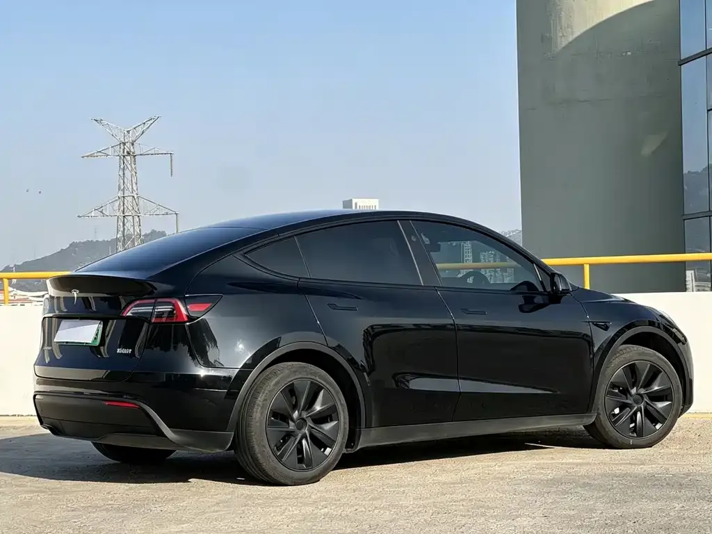 Tesla Model Y — фото 5