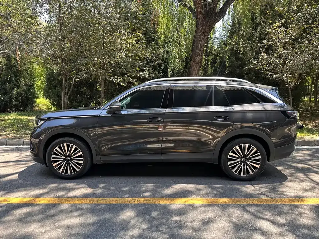 Volkswagen Tavendor 2023 из CN, фото 8