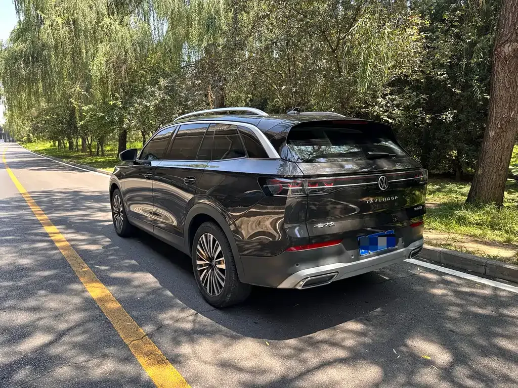 Volkswagen Tavendor 2023 из CN, фото 10