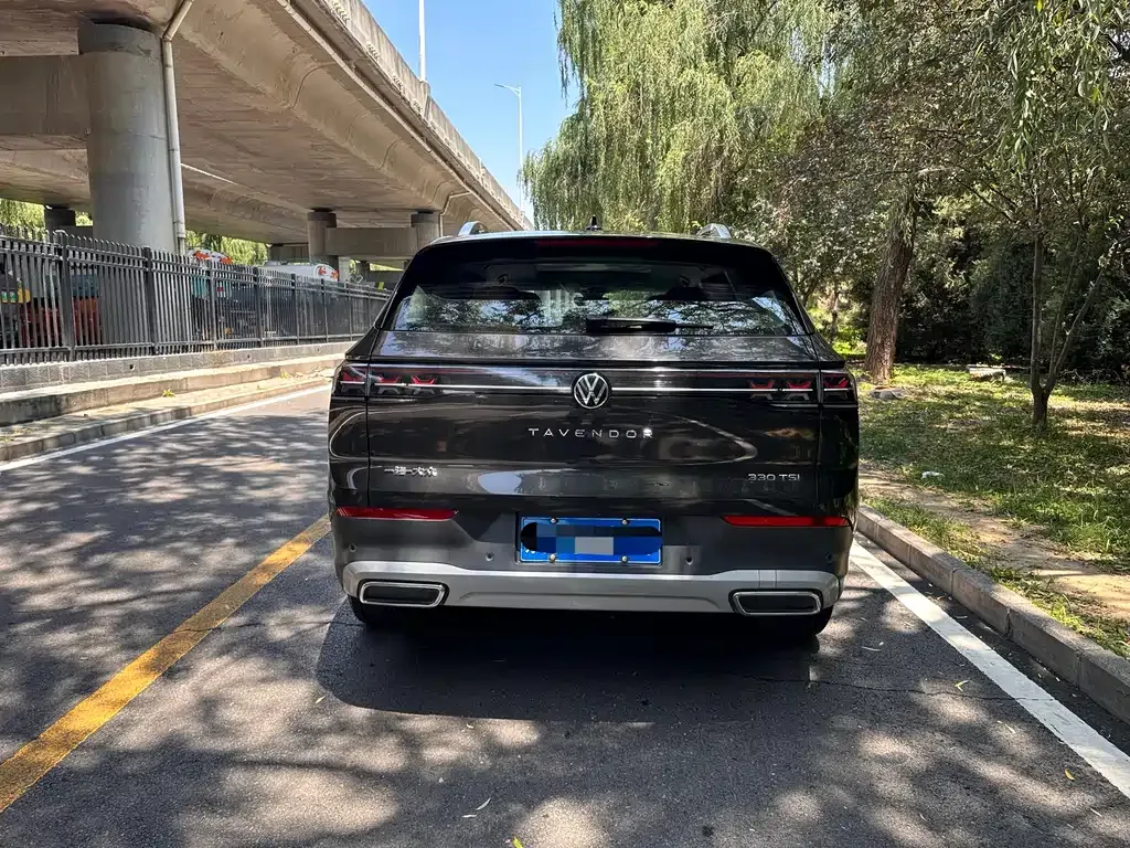 Volkswagen Tavendor 2023 из CN, фото 6