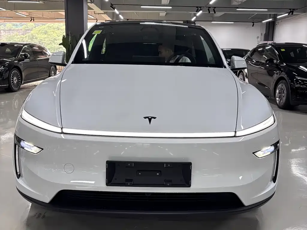 Tesla Model Y — фото 3