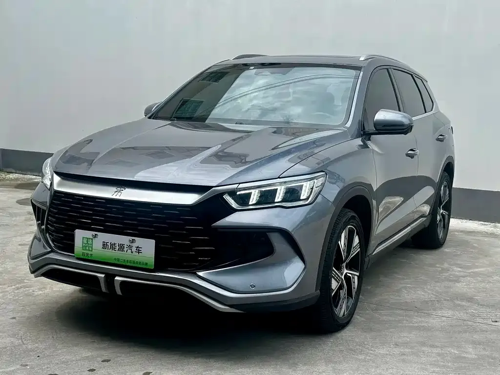 BYD Pro New Energy — фото 1