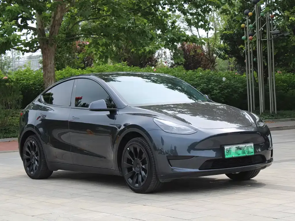 Tesla Model Y — фото 10