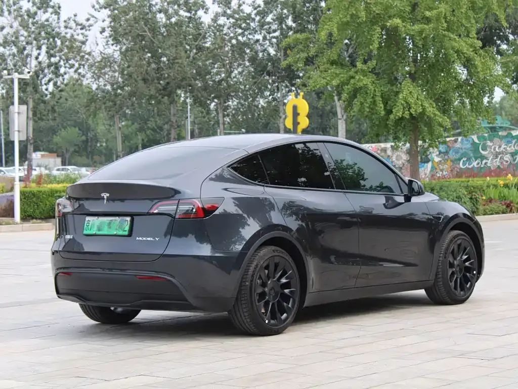 Tesla Model Y — фото 6