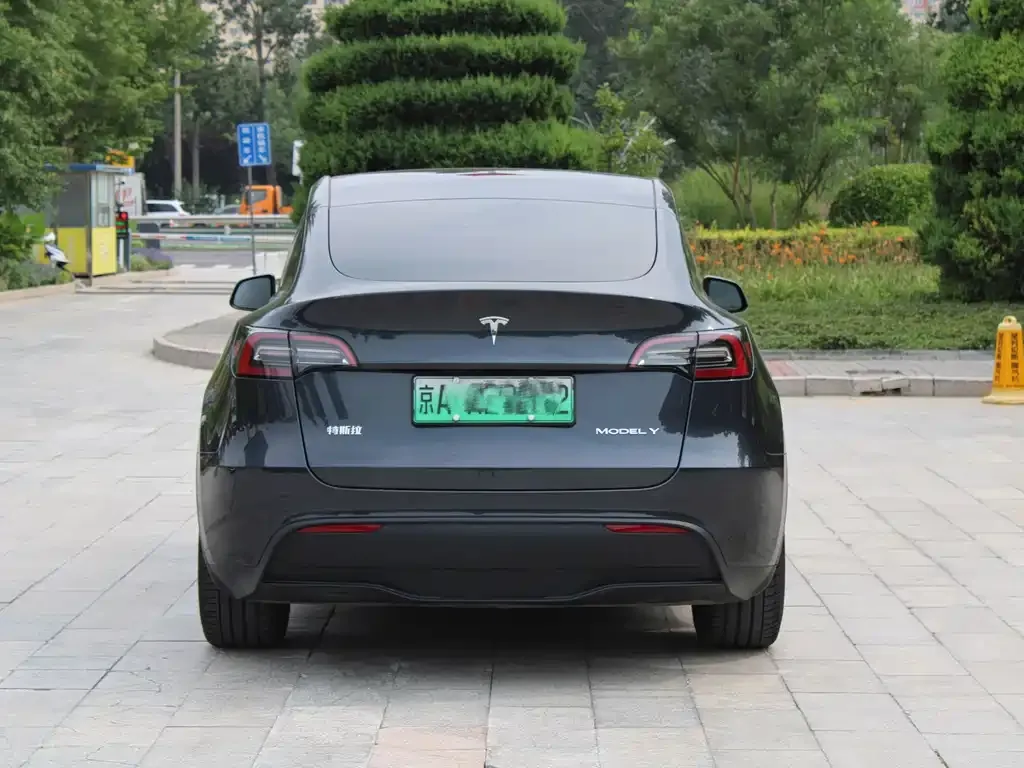 Tesla Model Y — фото 3