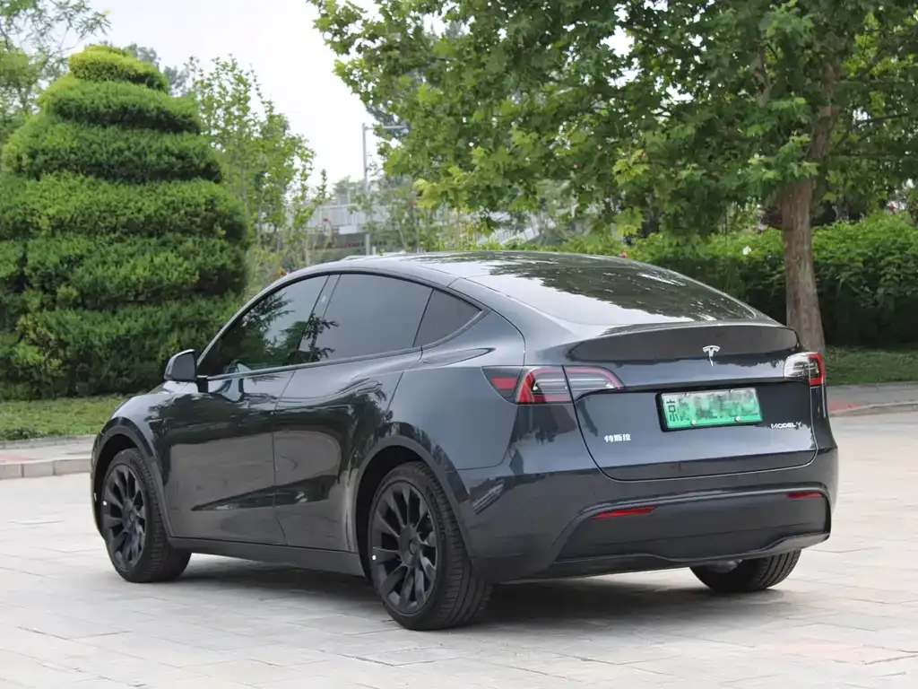 Tesla Model Y — фото 4