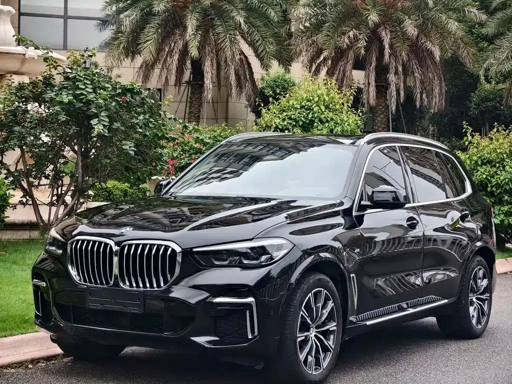 BMW X5 — фото 1